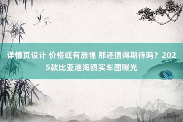 详情页设计 价格或有涨幅 那还值得期待吗？2025款比亚迪海鸥实车图曝光